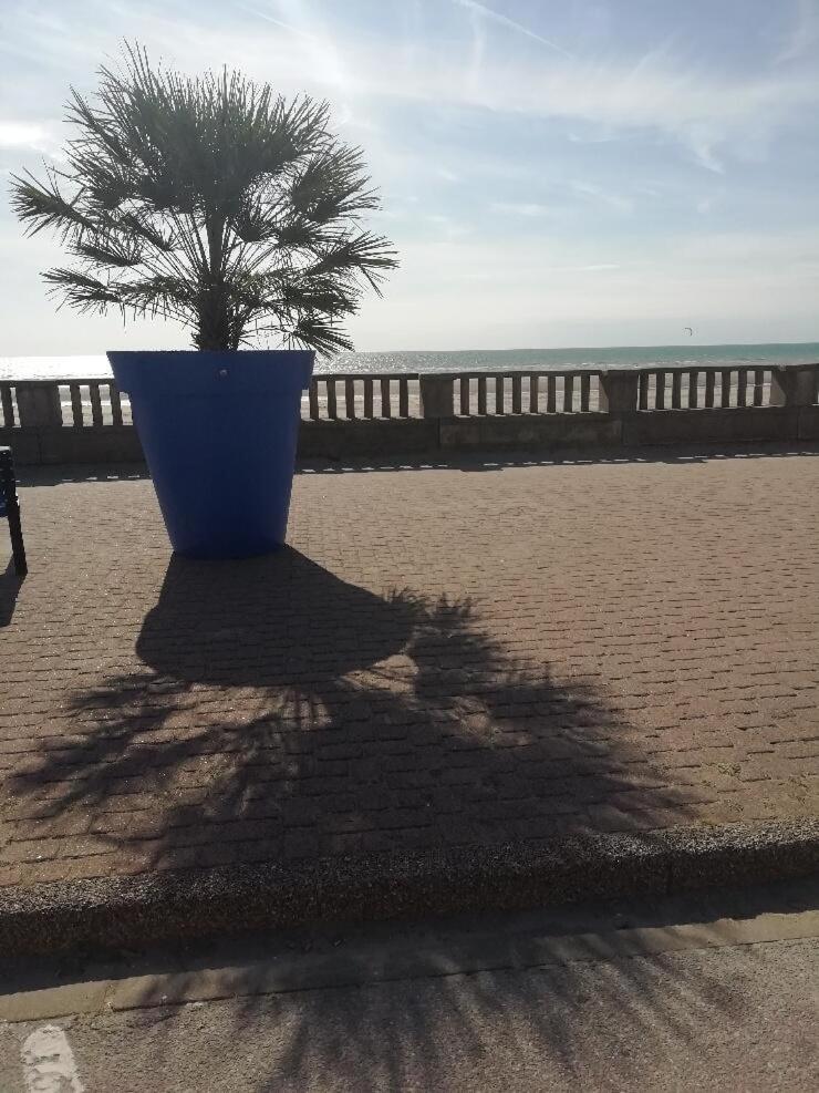 T3 Rez-De-Chaussee Lumineux Avec Terrasse Proche Plage Кюк Екстериор снимка